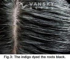 231117142356_Hair-Dyed with indigo-s.jpg